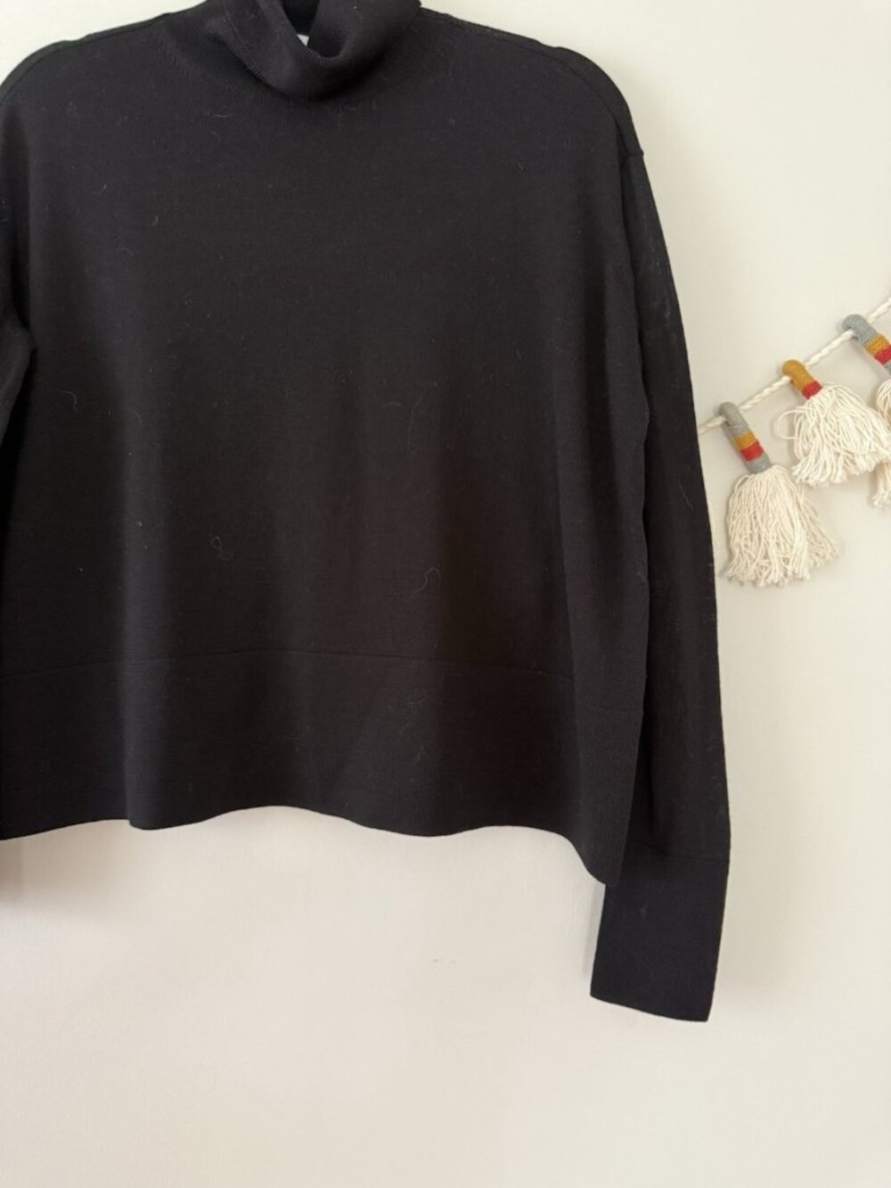 Everlane 100% Wool Turtleneck Long Sleeve Boxy Black Top Layering Basics Relax S - Picture 5 of 8